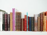 a lot of books that are lined up on a shelf