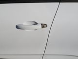 the door handle of a white car with a cat sticking out of it
