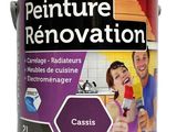 la peinture est violette et blanche, avec une bande noire dessus