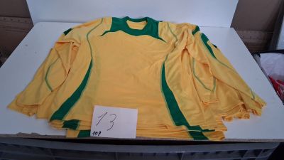 Lot de 10 t-shirts manches longues, coloris jaune et vert, d…