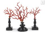 three vases with red branches on them on a white background