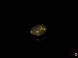 an oplite in the dark with a black background