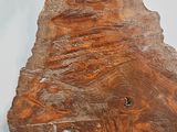 a large piece of wood on a white surface