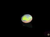 an oplite in the dark with a reflection on the ground