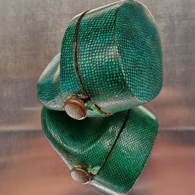 un sac vert dans lequel se trouvent quelques pièces de monnaie