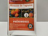 Photo 1/4 du lot