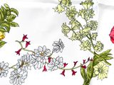 a drawing of flowers on a napkin on a table