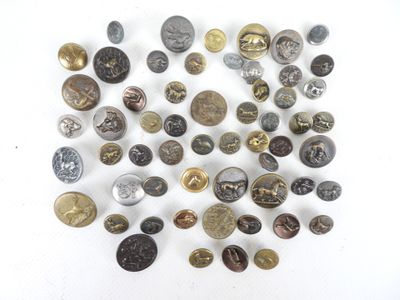 plusieurs types de boutons différents sur une surface blanche