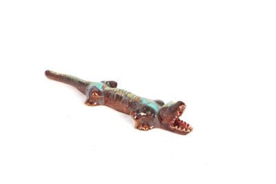 un petit lézard posé sur une surface blanche