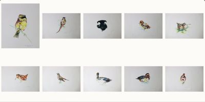 une photo représentant un groupe d'oiseaux accrochés au mur