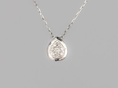 Collier en platine, à chaîne à maille forçat, orné d'une gou…