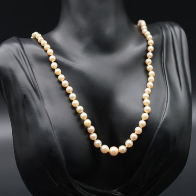 a white pearl necklace on a mannequin mannequin mannequin mannequin mannequin mannequin mannequin mannequin manne
