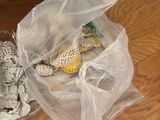 a plastic bag full of items on the floor