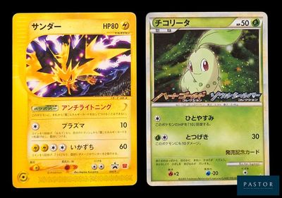deux cartes Pokémon présentant des motifs différents sur un fond noir