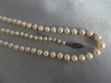 deux rangs de perles blanches avec un fermoir en argent sur un support en argent