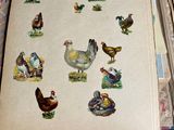 a lot of pictures of chickens on the pages of a book