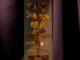 dried flowers in a glass box on a table