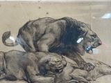 a drawing of a lion and a lioness laying on the ground