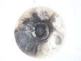 a close up view of a black and white object on a white surface