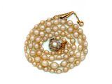 collier de perles avec un fermoir en or sur fond blanc