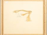 an image of a painting with a rope hanging from it ' s frame