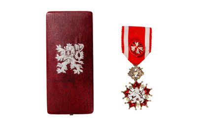 an image of a red case with a silver medal and a red ribbon