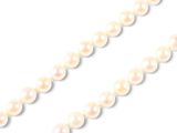 a close up of a strand of white pearls on a white background