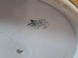 an image of a close up of a plate with a bird on it