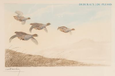 beaucoup d'oiseaux qui volent dans le ciel au-dessus de l'herbe