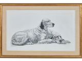 a drawing of a dog laying down next to another dog