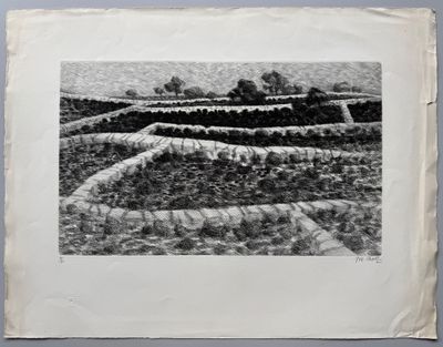 photographie en noir et blanc d'un champ de cultures dans une zone rurale