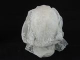 Photo 20/23 du lot