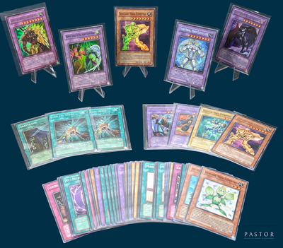 beaucoup de cartes sur la table