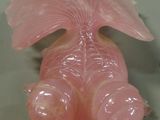 a pink glass sculpture of a fish on a table