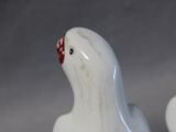 two white birds that are standing next to each other