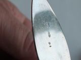 a person holding a silver spoon in their hand