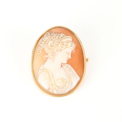 an image of a woman ' s profile is shown in a gold - plated broocher
