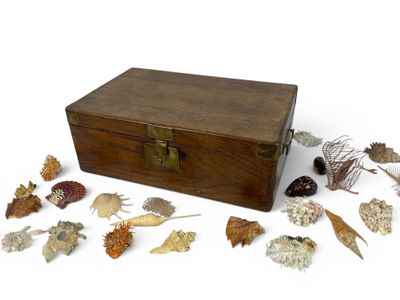 une boîte en bois sur laquelle se trouve un tas de feuilles séchées