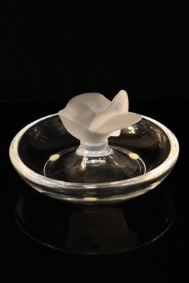 an image of a white flower sitting on top of a glass plate