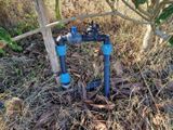 un tuyau relié à un arbre dans l'herbe