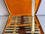 beaucoup de couteaux dans un étui contenant un couteau