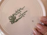a person holding a white plate with a green design on it