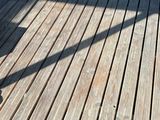 a dog that is sitting on a bench on the deck