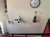 a clock on the wall above a table with a plant in it