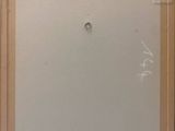 an image of a painting of a bird on a white background