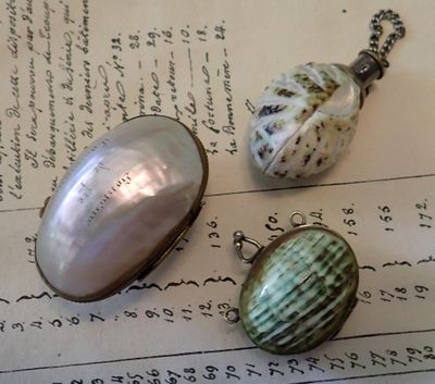 two shells and a shell pendant on a piece of paper