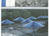 de nombreux parapluies bleus qui flottent dans l'eau