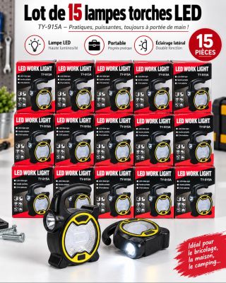lot de 5 lampes de poche à LED