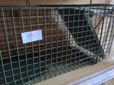 two cages that are on the shelf in the store