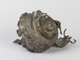 une image représentant un escargot posé sur un morceau de métal